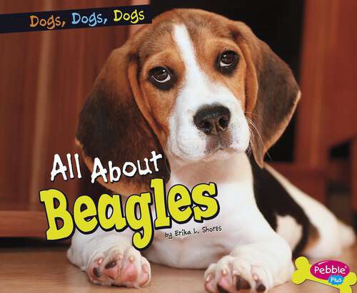 Book cover of All about Beagles (Dogs, Dogs, Dogs Ser.)