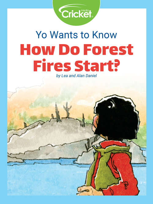 Book cover of Yo Wants to Know: How Do Forest Fires Start?