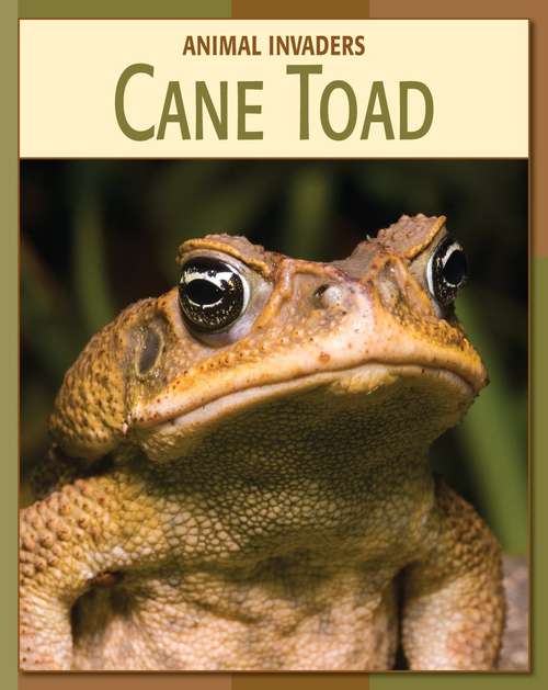 Book cover of Cane Toad (Animal Invaders)