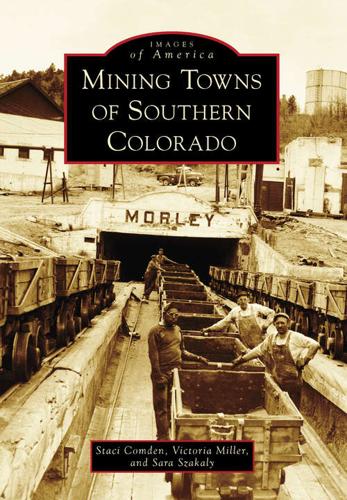 Book cover of Mining Towns of Southern Colorado