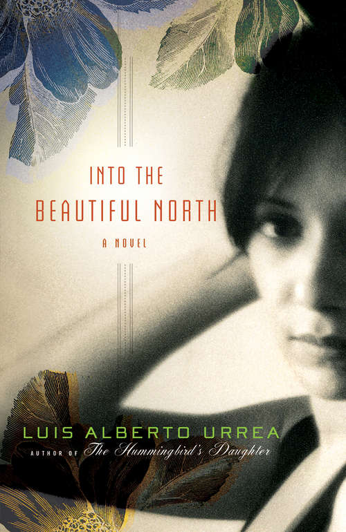 Book cover of Into the Beautiful North: A Novel