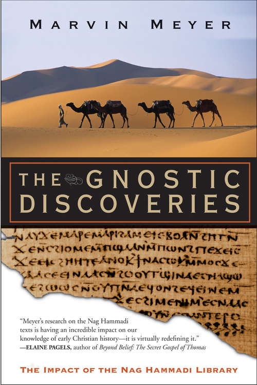 Book cover of The Gnostic Discoveries