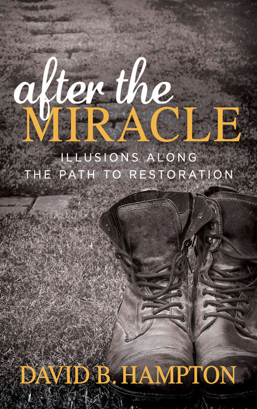 Book cover of After the Miracle: Illusions Along the Path to Restoration