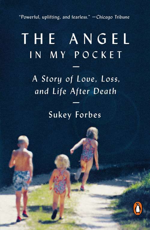 Book cover of The Angel in My Pocket