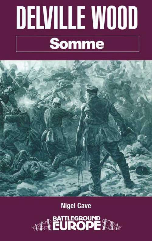 Book cover of Delville Wood: Somme (Battleground Europe)