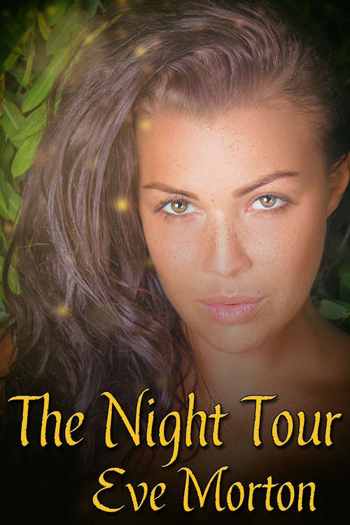 Book cover of The Night Tour