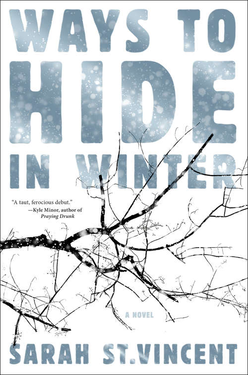 Book cover of Ways to Hide in Winter