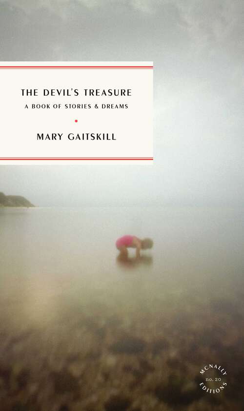 Book cover of The Devil's Treasure