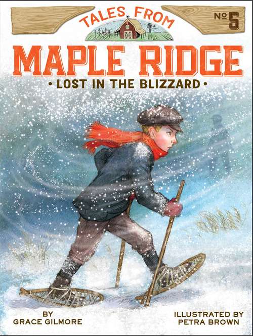 Book cover of Lost in the Blizzard