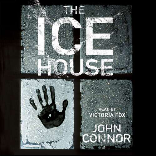 Book cover of The Ice House