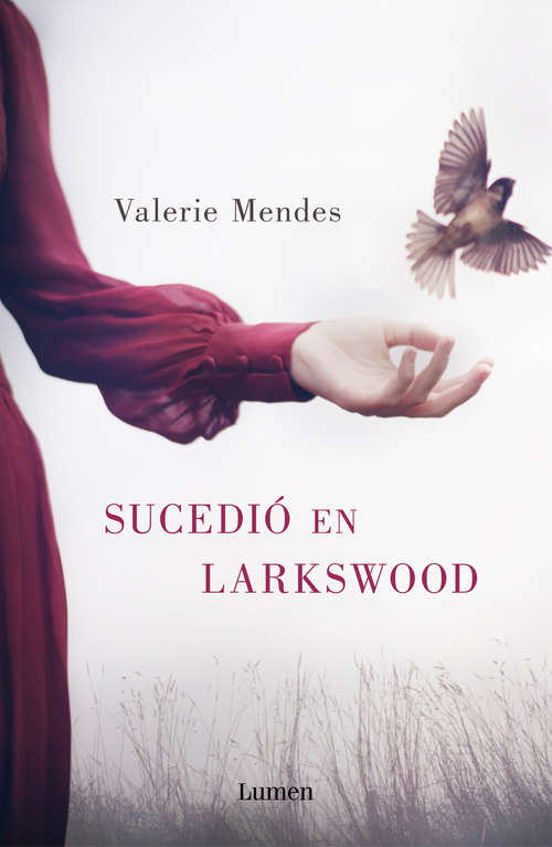 Book cover of Sucedió en Larkswood