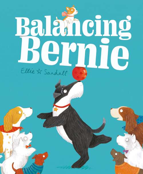 Book cover of Balancing Bernie