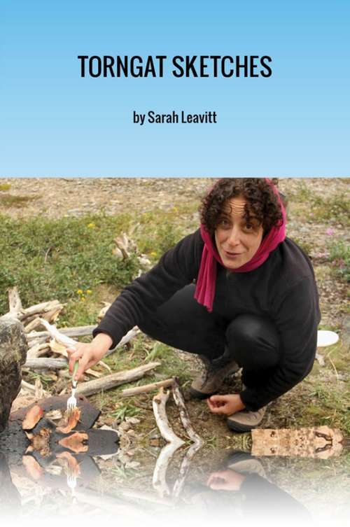 Book cover of Torngat Sketches: A Northwords Story (Northwords)
