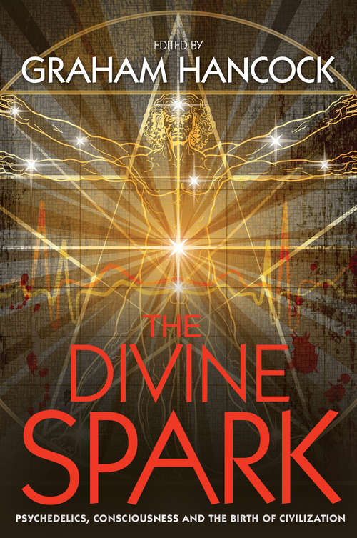 Book cover of The Divine Spark: Psychedelics, Consciousness and the Birth of Civilization