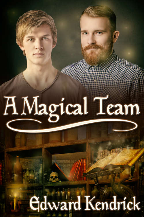 Book cover of A Magical Team