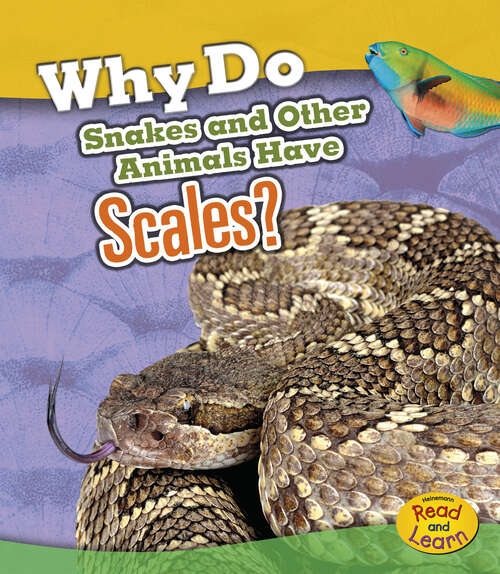 Book cover of Why Do Snakes and Other Animals Have Scales? (Animal Body Coverings Ser.)