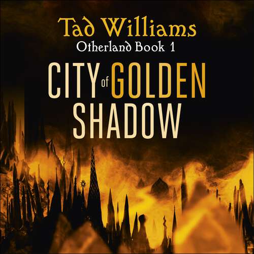 Book cover of City of Golden Shadow: Otherland Book 1 (Otherland #19)
