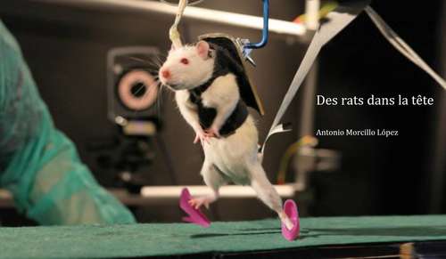 Book cover of Des rats dans la tête