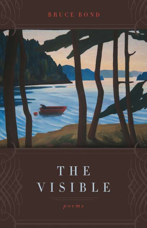 Book cover of The Visible: Poems