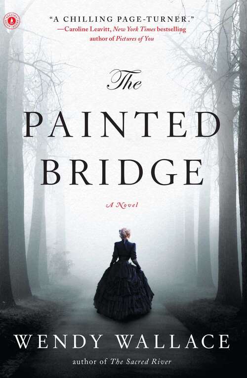 Book cover of The Painted Bridge: A Novel