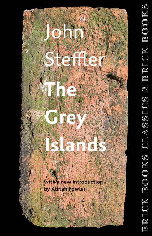Book cover of The Grey Islands
