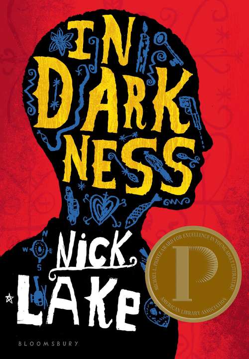 Book cover of In Darkness