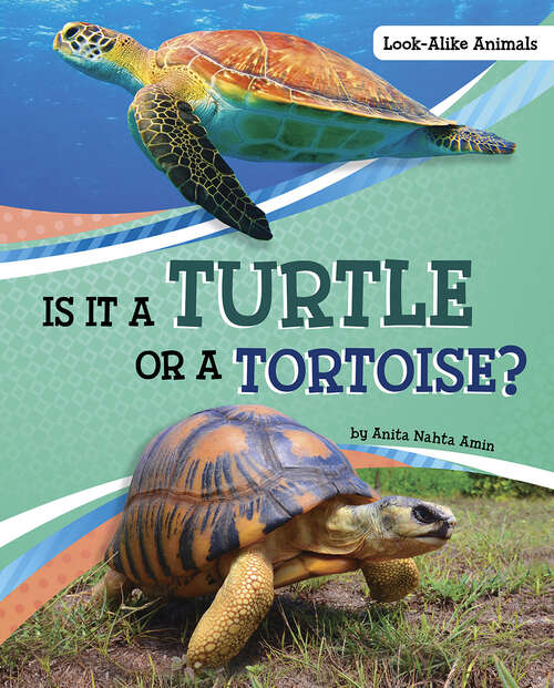 Book cover of Is It a Turtle or a Tortoise? (Look-alike Animals Ser.)