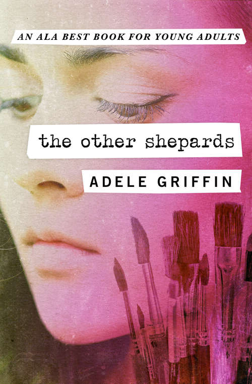 Book cover of The Other Shepards (Digital Original)