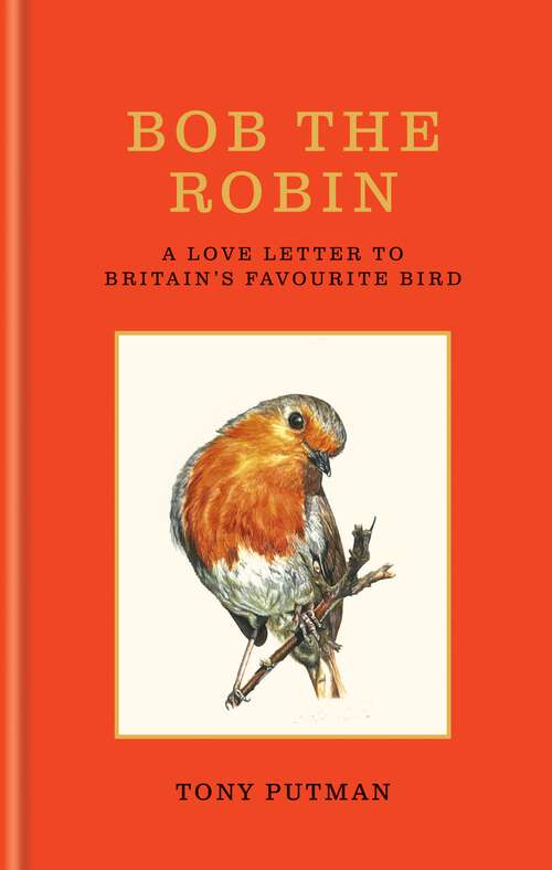 Book cover of Bob the Robin: A love letter to Britain’s favourite bird