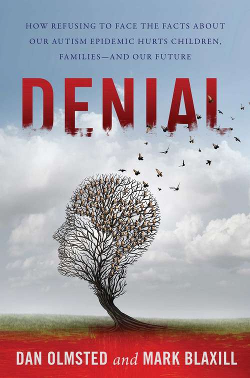 Book cover of Denial: How Refusing to Face the Facts about Our Autism Epidemic Hurts Children, Families, and Our Future