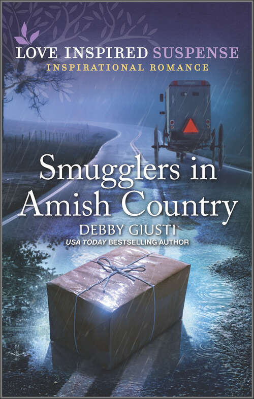 Book cover of Smugglers in Amish Country (Original)