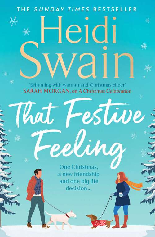 Book cover of That Festive Feeling: the cosiest, most joyful novel you'll read this Christmas