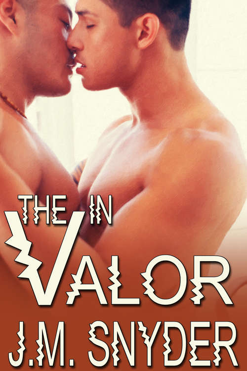 Book cover of V: The V in Valor (Vic and Matt: V #1)