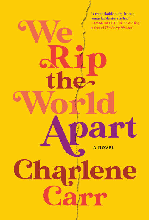 Book cover of We Rip the World Apart: A Novel