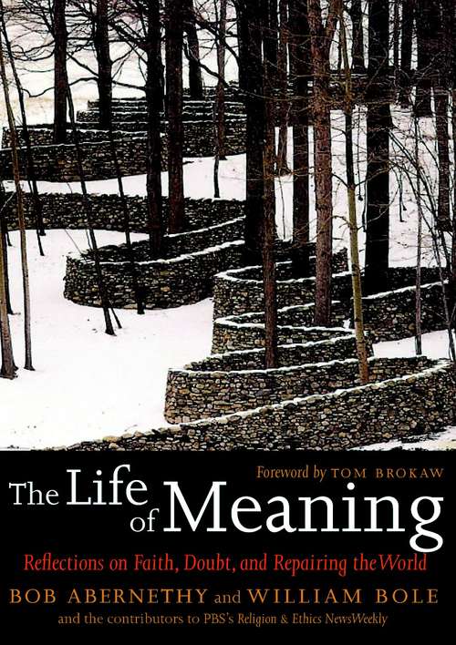 Book cover of The Life of Meaning: Reflections on Faith, Doubt, and Repairing the World