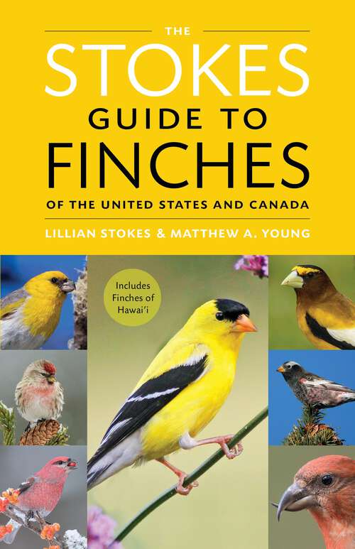 Book cover of The Stokes Guide to Finches of the United States and Canada