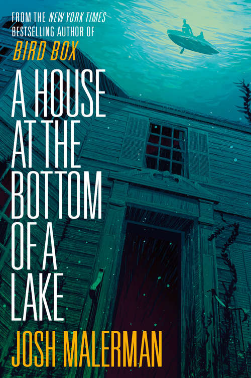Book cover of A House at the Bottom of a Lake