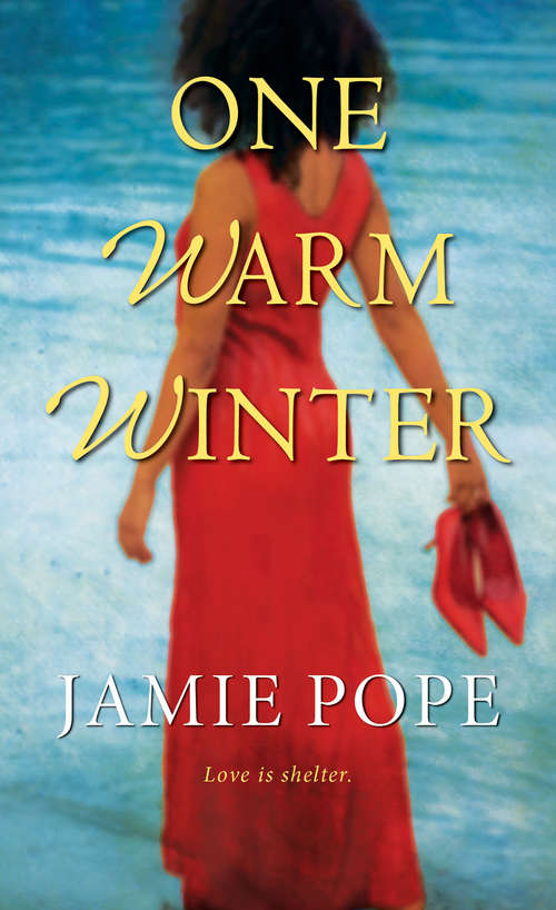 Book cover of One Warm Winter (Sunny and Warm)