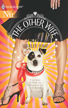 Book cover of The Other Wife