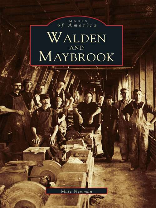 Book cover of Walden and Maybrook