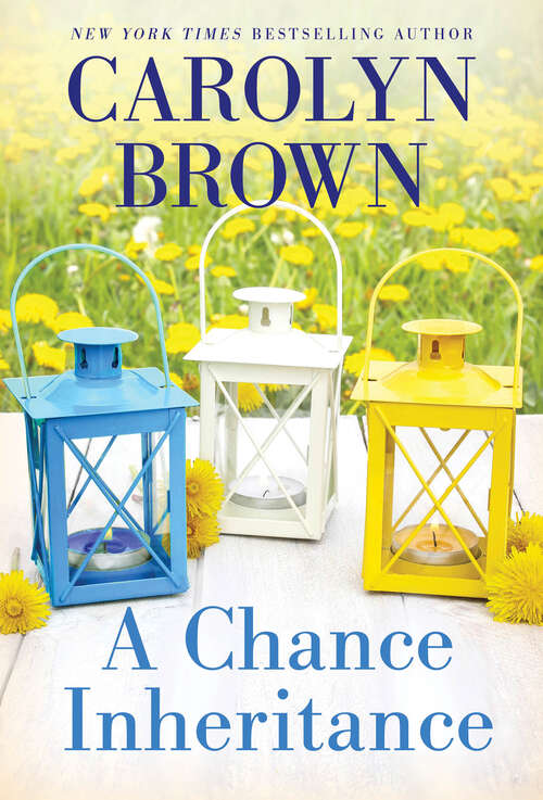Book cover of A Chance Inheritance
