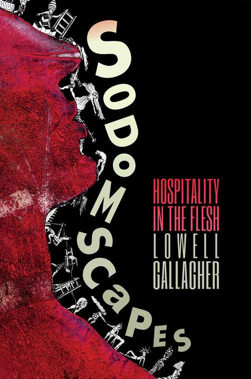 Book cover of Sodomscapes: Hospitality in the Flesh