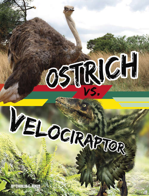 Book cover of Ostrich vs. Velociraptor