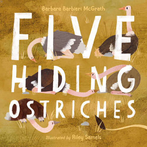 Book cover of Five Hiding Ostriches