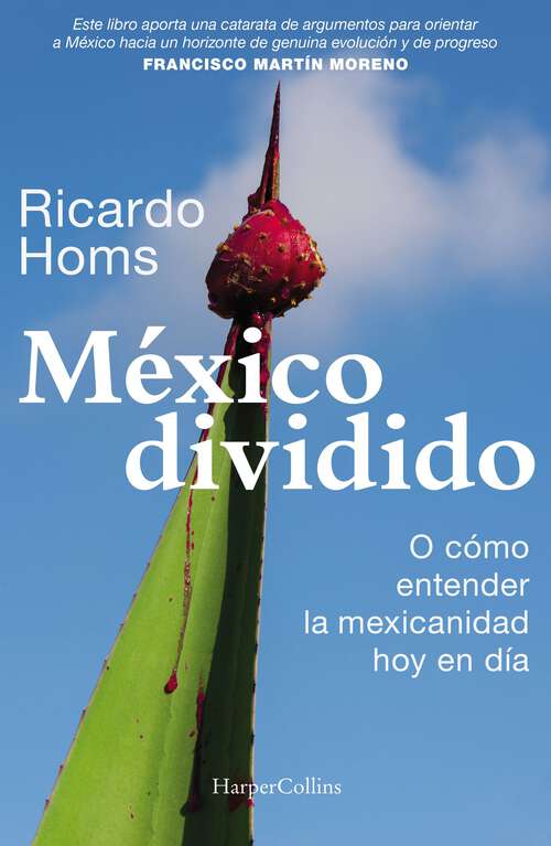 Book cover of México dividido