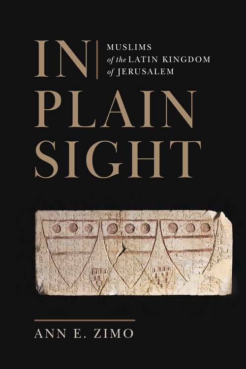 Book cover of In Plain Sight: Muslims of the Latin Kingdom of Jerusalem (The Middle Ages Series)