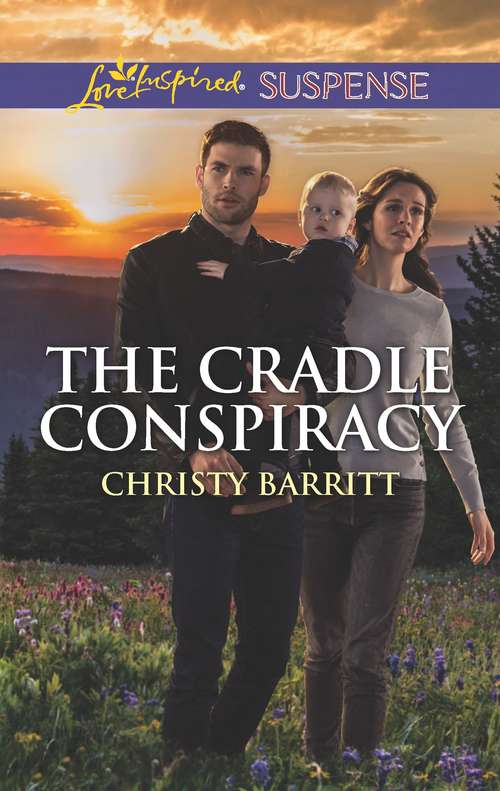 Book cover of The Cradle Conspiracy: The Baby Protectors (Original) (The Baby Protectors)