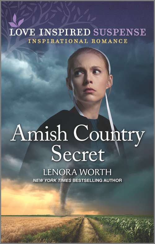 Book cover of Amish Country Secret (Original)