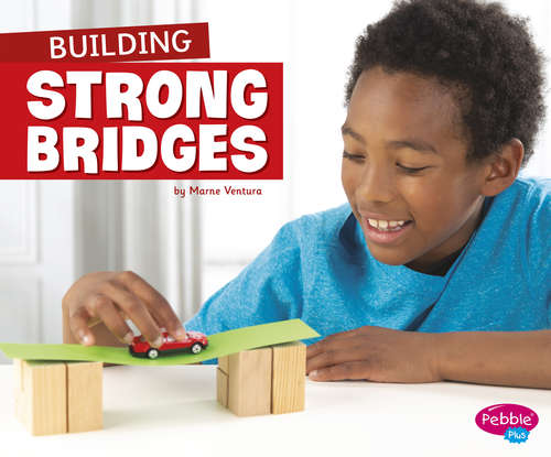 Book cover of Building Strong Bridges (Fun STEM Challenges)