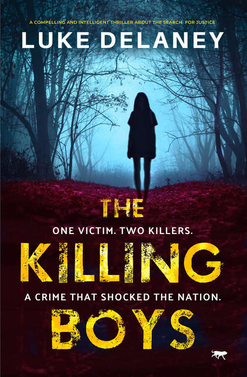 Book cover of The Killing Boys